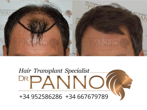 www.drpanno.com